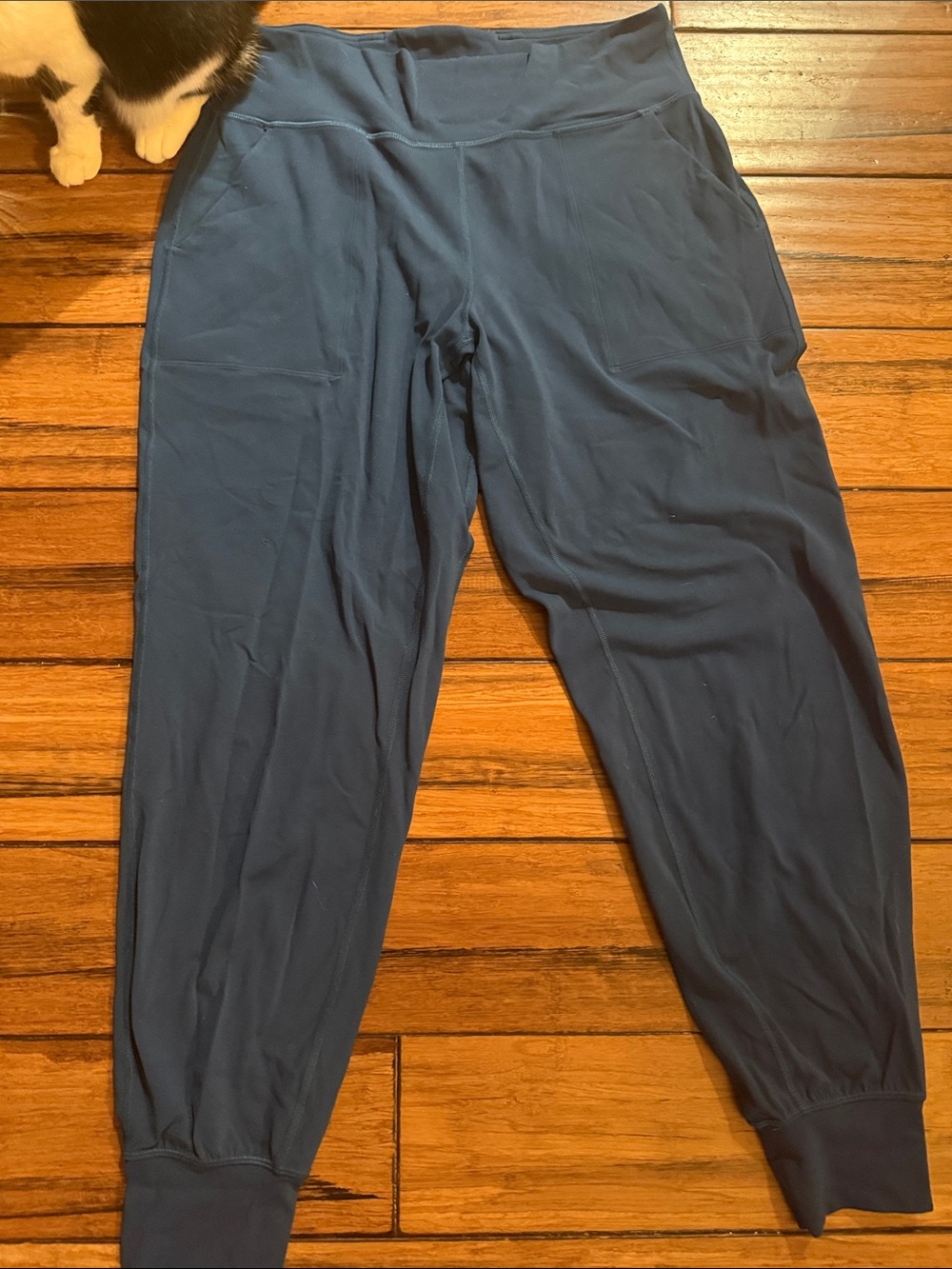 lululemon athletica women’s Teal Joggers Size 10